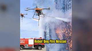Robot Anjing Untuk Misi Penyelamatan Kebakaran
